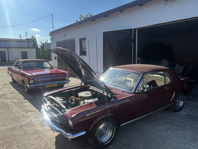 1965 Ford mustang