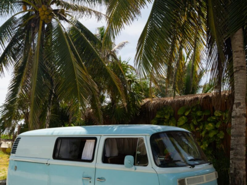 VW T2