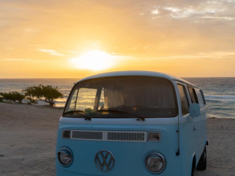 VW T2